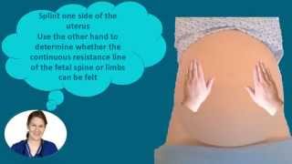 Abdominal Palpation Tutorial for Student Midwives [upl. by Singer]