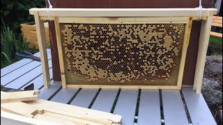 How to make a national beehive frame into a Langstroth beehive frame ￼ [upl. by Aletha259]