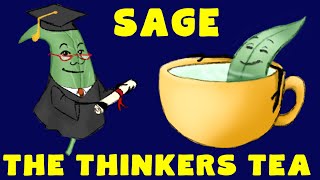 Sage Tea Benefits Everything You Need to Know [upl. by Yenial]