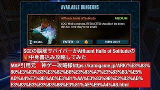 arkモバイル 📽️33 SCEの脳筋サバイバーがAffluent Halls of Solitudeの🎁中身書込み攻略してみた 概要欄必読！タイムスタンプとMAP引用元リンク有り [upl. by Idnaj]