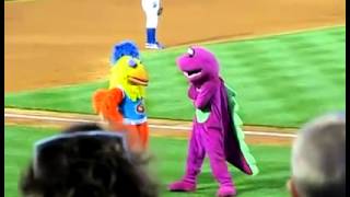 Duelo de baile entre mascotas equipos de baseball [upl. by Bridgid]