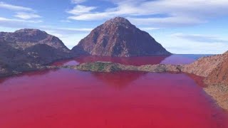 समुद्र लाल कैसे हो गया। red tide  amazing facts gonyaulax [upl. by Filipe]