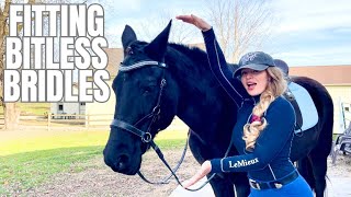 Understanding Bitless BridlesConnect With Your Horse On Another Level [upl. by Tra841]