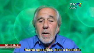 Bruce Lipton Calatorie spre centrul celulei Partea 3 [upl. by Onez]