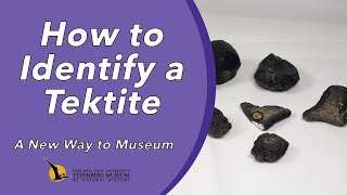 How to Identify a Tektite  A New Way to Museum [upl. by Melburn703]