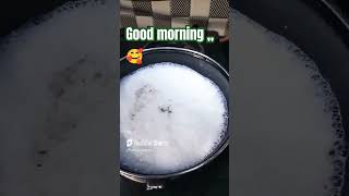 morning morningtea viralvideo recipe popular trending song chai bollywood newsongs [upl. by Filide]