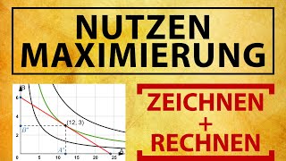 NUTZENMAXIMIERUNG Optimierung mit Indifferenzkurven  Budgetgerade Konsumplan und Nachfrage [upl. by Enillebyam]