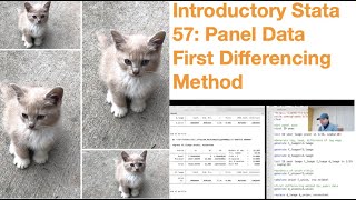 Introductory Stata 57 Panel Data First Differencing Method [upl. by Yennor]