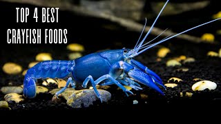 Crayfish Feeding 101 4 essential foods and tips [upl. by Penrod]