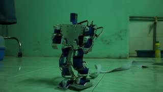 Humanoid robot with SG90 Motor [upl. by Ahsenhoj910]