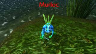 The Murloc Sound [upl. by Sturges]