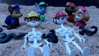 PATRULLA CANINA y la MALDICION de la MOMIA PAW PATROL Patrulla de cachorros la patrulla de la pata [upl. by Gravante]