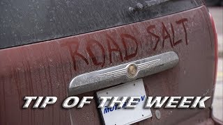 Road Salt and Rust Proofing  Tip of The Week [upl. by Nanfa720]