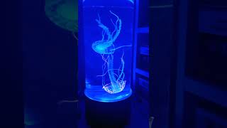 Jellyfish lamp Link is in the bio jellyfishlamp [upl. by Leveroni]