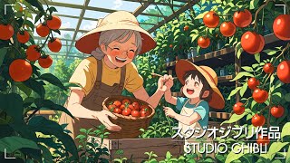 ジブリに癒されてリラックス🌎 ジブリ夏BGM⛅ スタジオジブリ音楽、癒し、学び、仕事 [upl. by Gram]