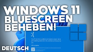 Windows 11 Blauer BILDSCHIRMBLUESCREEN beheben  Problemlösung  Deutsch  2024 [upl. by Eidod771]