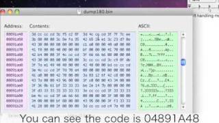 How to manually port codes with Ram Dumps Mario Kart Wii [upl. by Alegre662]