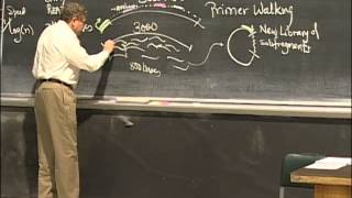 Agarose Gel Electrophoresis DNA Sequencing PCR Excerpt 2  MIT 701SC Fundamentals of Biology [upl. by Llerdnad657]