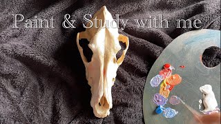 Canine skull  Veterinary anatomy [upl. by Mcneely679]