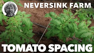 Tomato Spacing at Neversink [upl. by Atilrahc]