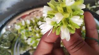 Kodi sampangi flower garlands making  கொடி சம்பங்கி பூ கட்டுவது எப்படி [upl. by Yeslrahc]