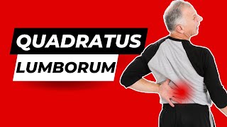 Quadratus Lumborum Stretch amp Pain Relief A Muscle in your Back [upl. by Hayley]