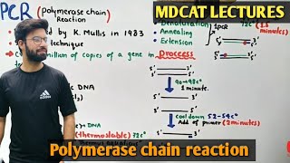 Polymerase chain reaction  PCR  NMDCAT 2021 [upl. by Nasus]