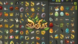 MON INVENTAIRE DOFUS [upl. by Vassell795]