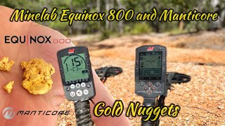 Minelab Equinox vs Manticore on gold nuggets depth test Including the gpx 6000 [upl. by Llatsyrk21]