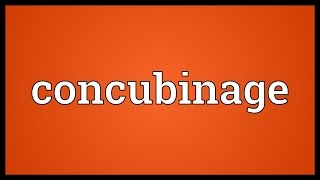 Concubinage Meaning [upl. by Ynattyrb]