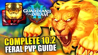 COMPLETE 102 Feral Druid PvP Guide  Talents BiS Gear Rotation and MORE [upl. by Allisurd382]