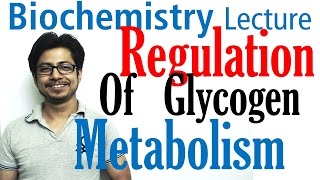 Regulation of glycogen metabolism  Glycogen metabolism lecture 3 [upl. by Eleirbag]