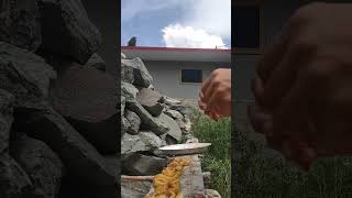 Drying apricot apricot apricotlove horticulture traditional viralvideo viralshorts organic [upl. by Faden]