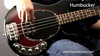 Music Man StingRay w Rosewood Fingerboard amp Piezo Pickup Demo  The Perfect Bass [upl. by Nihi]