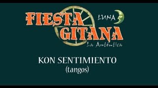 FIESTA GITANA  Luna  Kon Sentimiento  Iparte [upl. by Sorensen528]