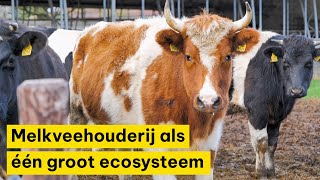 Melkveehouderij als één groot ecosysteem  Ekoland Innovatieprijs 2024 [upl. by Soloma]