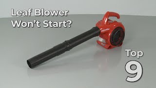 Top Reasons Leaf Blower Wont Start — Leaf Blower Troubleshooting [upl. by Nosaj367]