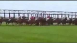 2013 Royal Ascot Royal Hunt Cup 425 [upl. by Popele]