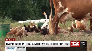 DWR considers cracking down on Hound Hunters [upl. by Dorthea]