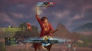 EPIC QUIDDITCH MATCH WITH MUSIC Harry Potter  Quidditch Champions [upl. by Haimehen971]