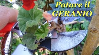 POTARE IL GERANIO [upl. by Tsepmet146]