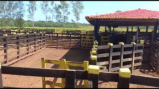 Fazenda a venda no estado do Maranhão [upl. by Yram]