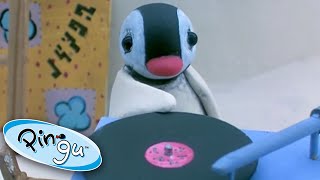 Pinga the DJ Pingu  Official Channel Cartoons For Kids [upl. by Yenrab]