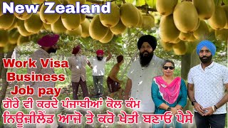 Kiwi Fruit Farming in New Zealand work visa  Kiwi pruning job Business Idea  Full Detail Video [upl. by Onibas]