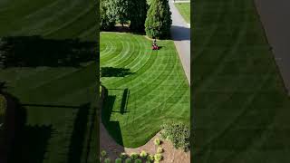 Tall Fescue Single Double Crop Circles lawnstripes gciturf [upl. by Gardol]