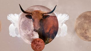 Taurus The Good stuff coming to you in SEPTEMBER 2024…EARTHLY VINDICATION and GOOD NEWS WITH MONEY [upl. by Viguerie]