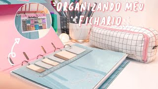 ORGANIZANDO MEU FICHÁRIO  DICAS 2021 [upl. by Yleoj]