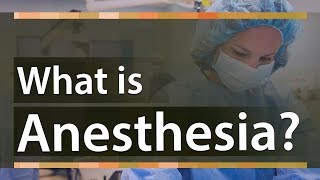 What is Anesthesia  Types of Anesthesia And How does it Work  Education Terminology [upl. by Anrehs]