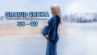 GRAVID VECKA 3840 FÖDDE VÅRAN SON 1 DAG INNAN BF Gravid vecka för vecka [upl. by Ume]