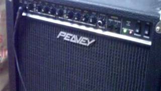 Peavey Prowler demo [upl. by Eiaj]